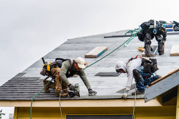 Professional Storm Damage Roof Repair technician working in Gibbon, MN
